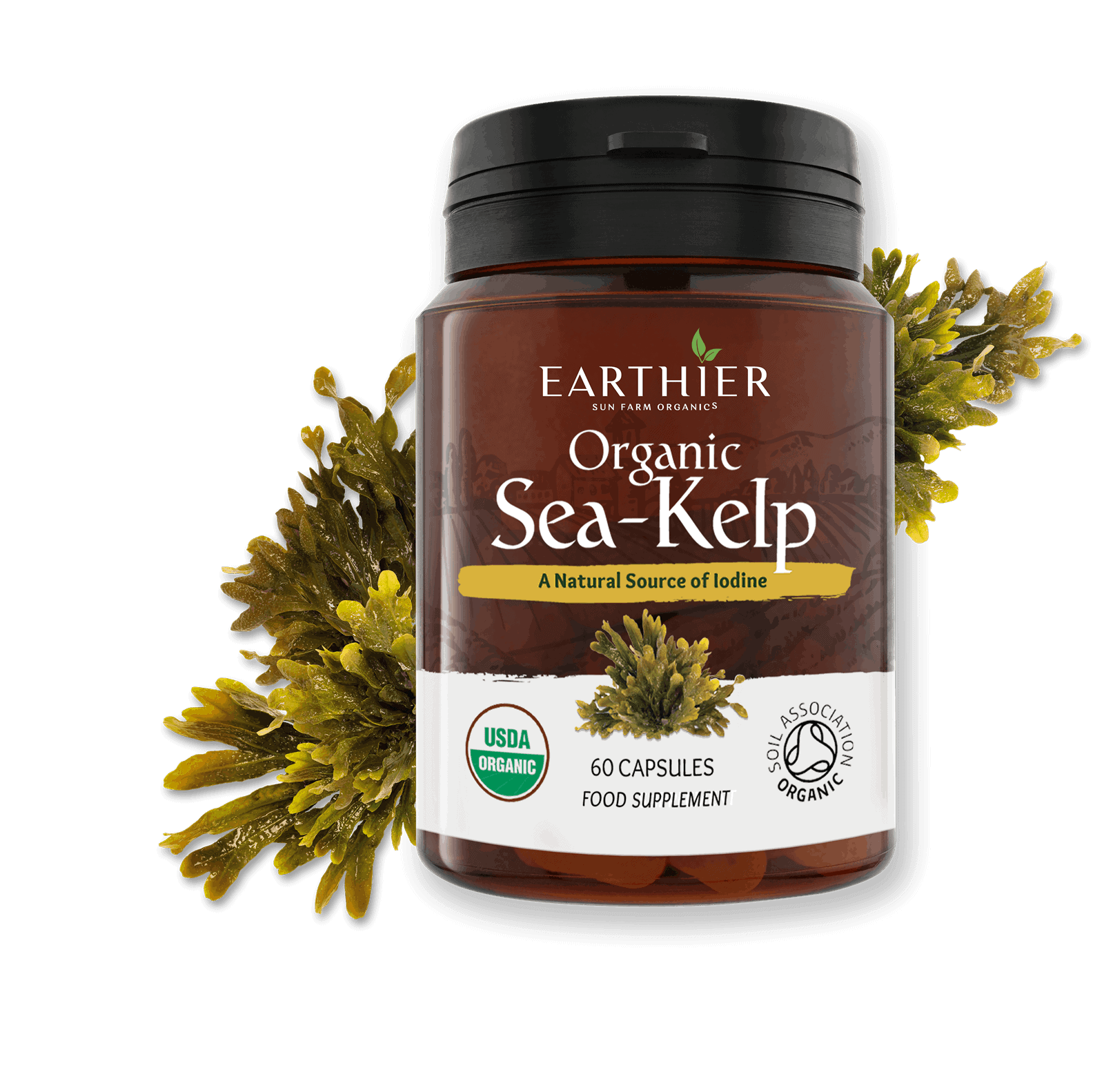 Organic Sea Kelp Earthier